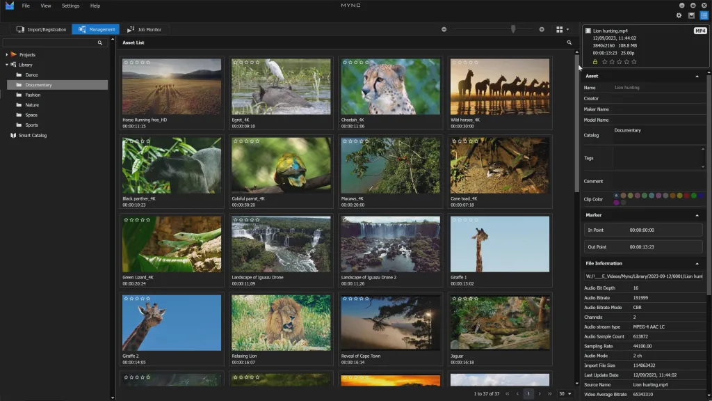 EDIUS 11 Pro (Full & Commercial Version)